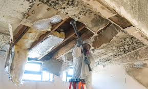 Best Emergency Mold Remediation  in Hoopa, CA